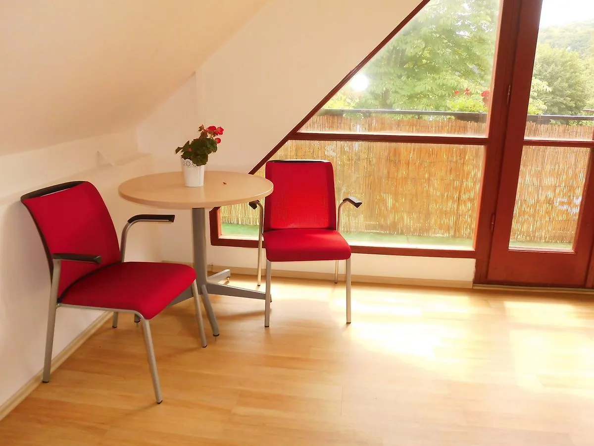 Pension Plaz Prague 0*,